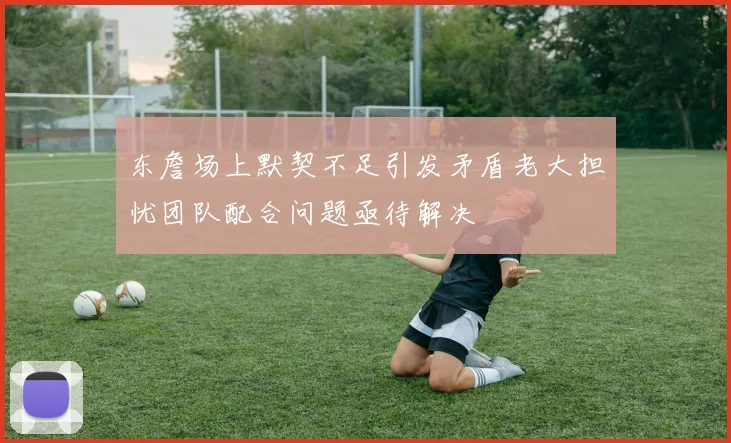 东詹场上默契不足引发矛盾老大担忧团队配合问题亟待解决