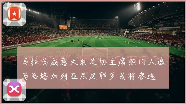马拉戈成意大利足协主席热门人选马洛塔加利亚尼皮耶罗或将参选