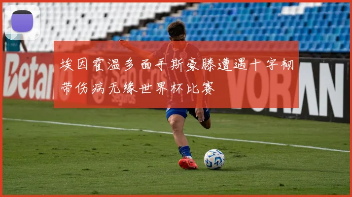 埃因霍温多面手斯豪滕遭遇十字韧带伤病无缘世界杯比赛